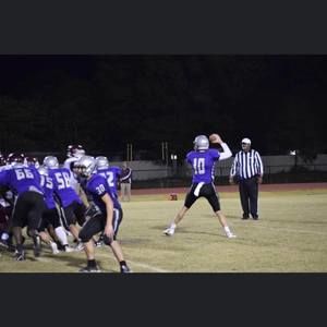 Meet your Posher, Harley